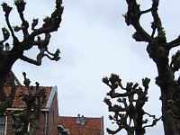 Foto  015